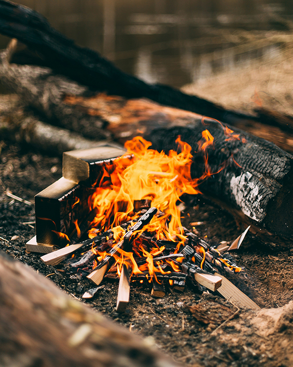 Firewood in Edmonton